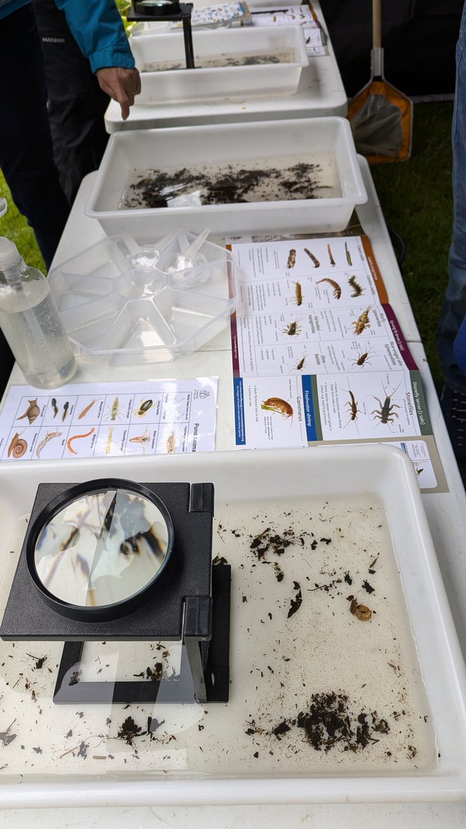 MerseyRivers's tweet photo. Come along to Manchester Festival of Nature today at Heaton Park, Manchester. #MFON
Free entry. Noon to 4pm.
Come and see some of the wildlife that live in the rivers of Greater Manchester.
Our first event of #MerseyRiversWeek
30 June to 6 July https://t.co/n2ep4cNFB0