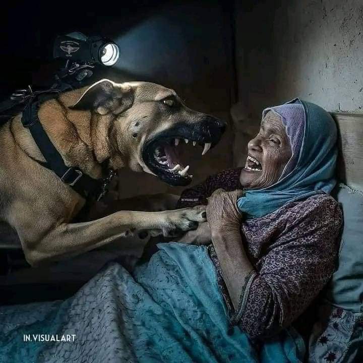 CommandosIsmail's tweet image. لا بارك الله فيكم ولا لكم حسبي الله ونعم الوكيل في كل حاكم عربي حسبي الله ونعم الوكيل في عبد الفتاح السيسي مشارك الحصار على اخواتنا في فلسطين 
اللهم سلط على السيسي كلب من كلابك ولقد دعى بها حبيبك محمد صلى الله عليه وسلم