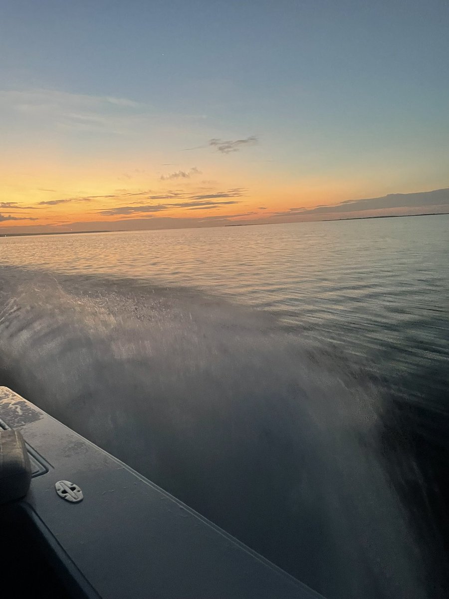 Tough sunrise chasing the Silver King this morning! 🐟