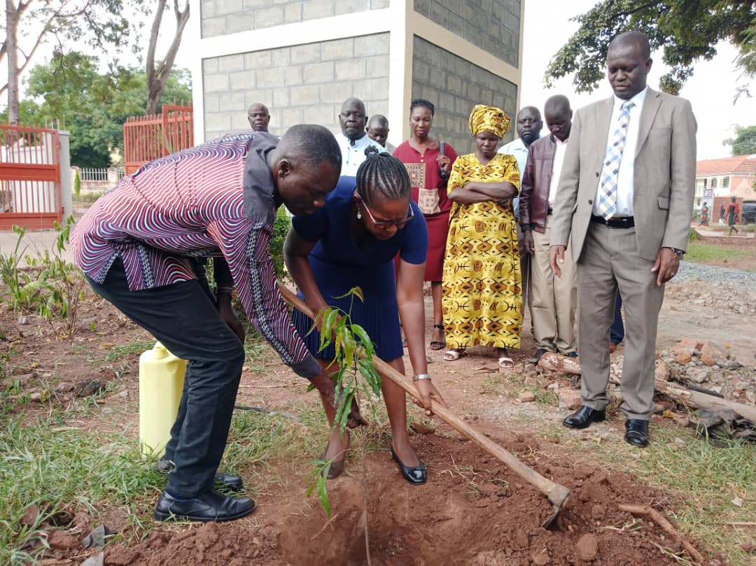 amicaallug's tweet photo. Planting a tree is a hopeful act; it means you believe in the future. Ahead of the Northern Regional Meeting in Lira City, Leaders joined in the fight against Climate Change and planted different species of trees .#AMICAALLUGREGIONALMEETINGS2024. https://t.co/cl9NrrU4jL
