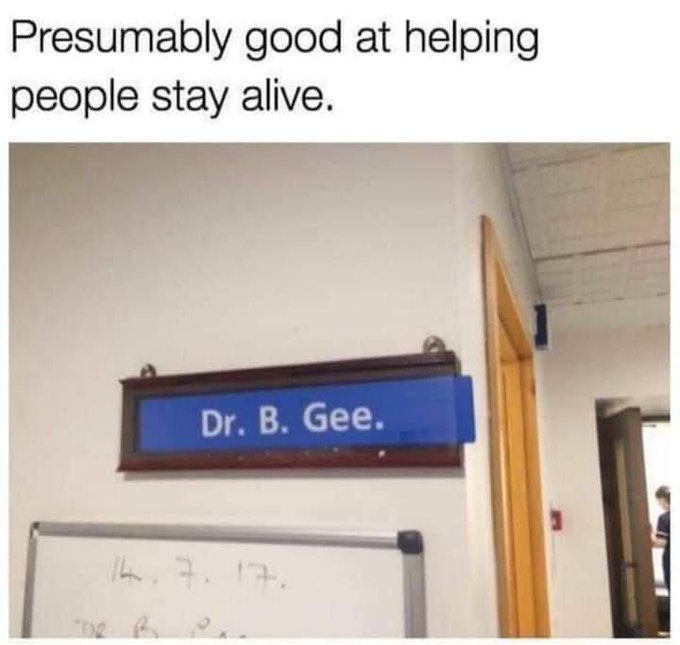 🎼 Ha, ha, ha, ha… 🎵🎶