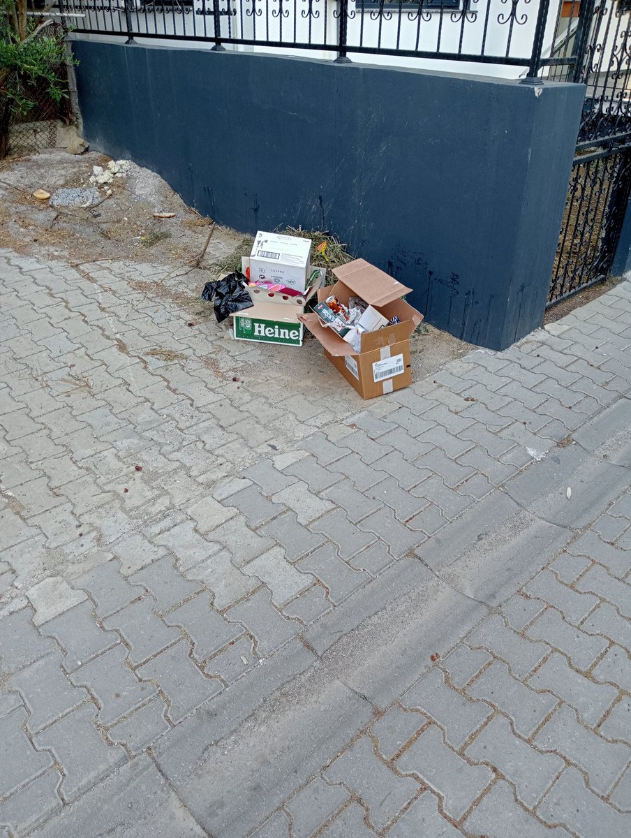 tromokolo's tweet photo. @guzelbahcebld @izmirhim lütfen Maltepe Mahallesi 116 sokağı bir kere ben Twitter'da paylaşmadan temizleyin. Sokak hep pis. Herkes çöpünü sokağa bırakıyor. Ceza yazın afiş asın lütfen https://t.co/28hIlcmaRq