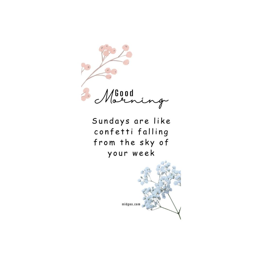 15WordPoet's tweet image. Hi all, here's today #15WordPoet prompt
#Fetching
Where will todays word take you?
✅ Prompt Combos
✅ Any genre or style
✅ New writers welcome
#WritingCommunity
#PoetryCommunity
#PoetryTwitter
#writinglife