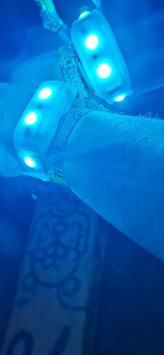 The Faint Girl 🍄📚🍷🚠🎸🦊 tweet media