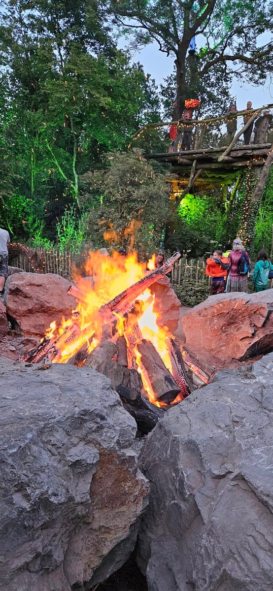 The Faint Girl 🍄📚🍷🚠🎸🦊 tweet media