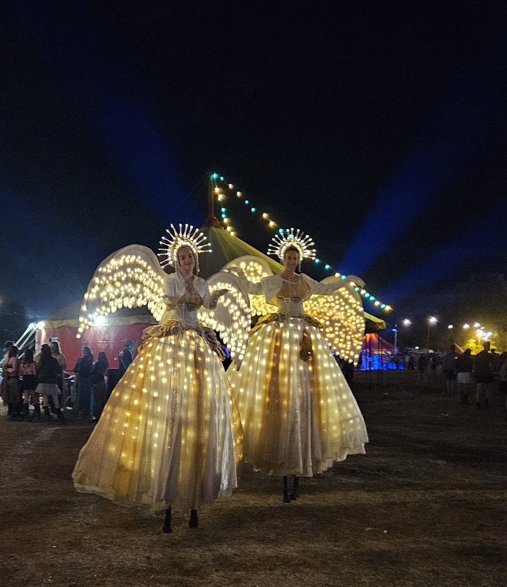 The Faint Girl 🍄📚🍷🚠🎸🦊 tweet media