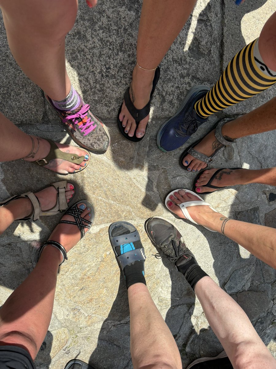 natalie wager tweet media