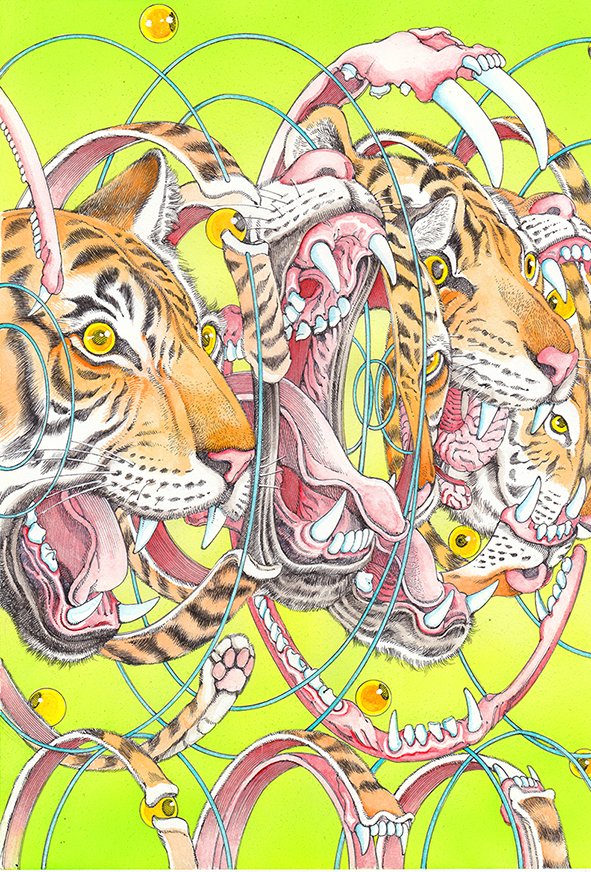 因数分解シリーズ　虎を因数分解