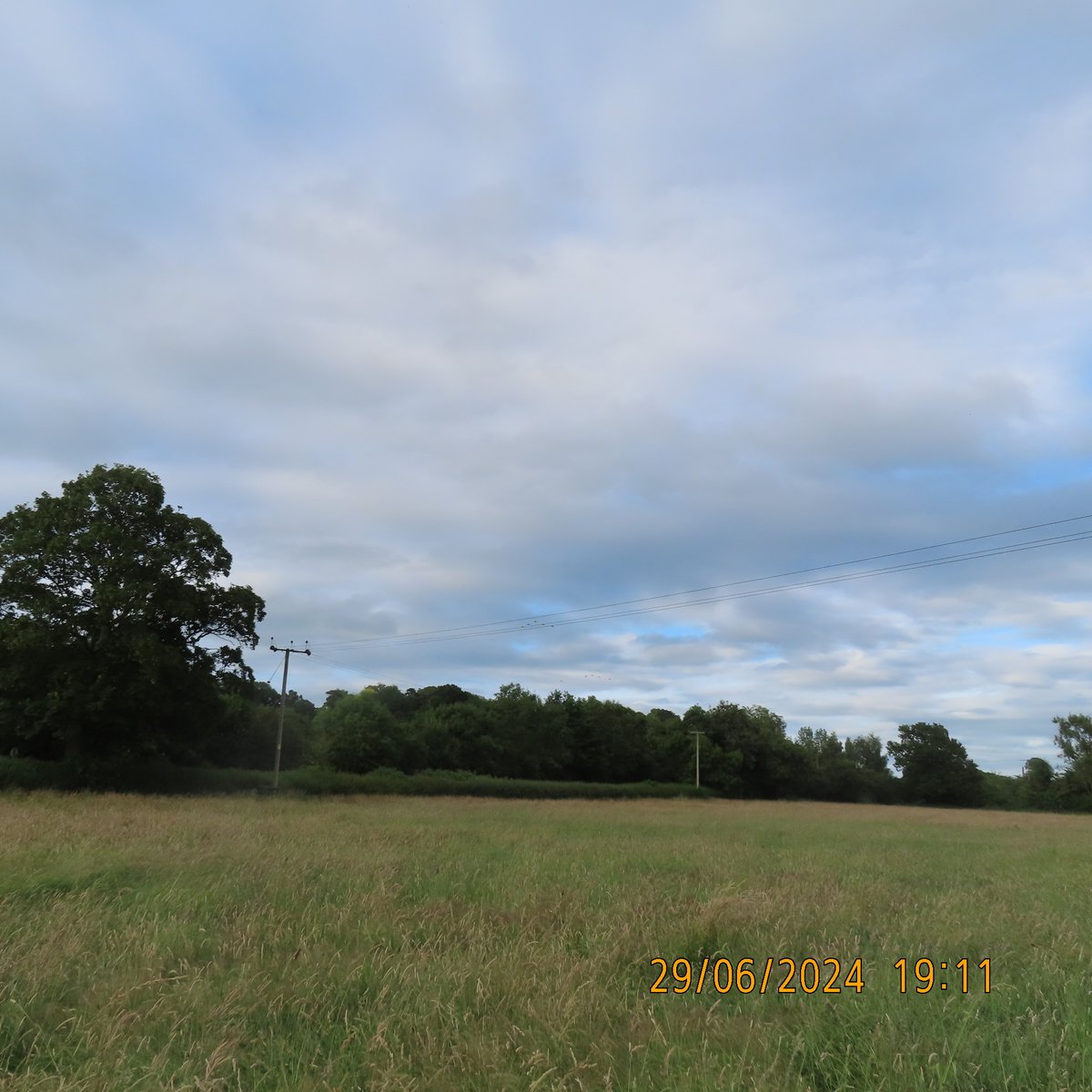 RuralNethercote's tweet photo. Red Arrows over #Nethercote yesterday evening #keepnethercoterural https://t.co/ZsAlIPSzmz