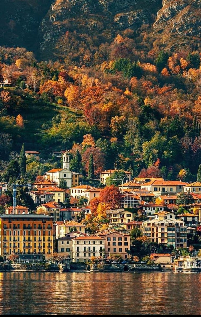 Shaney Boy tweet media