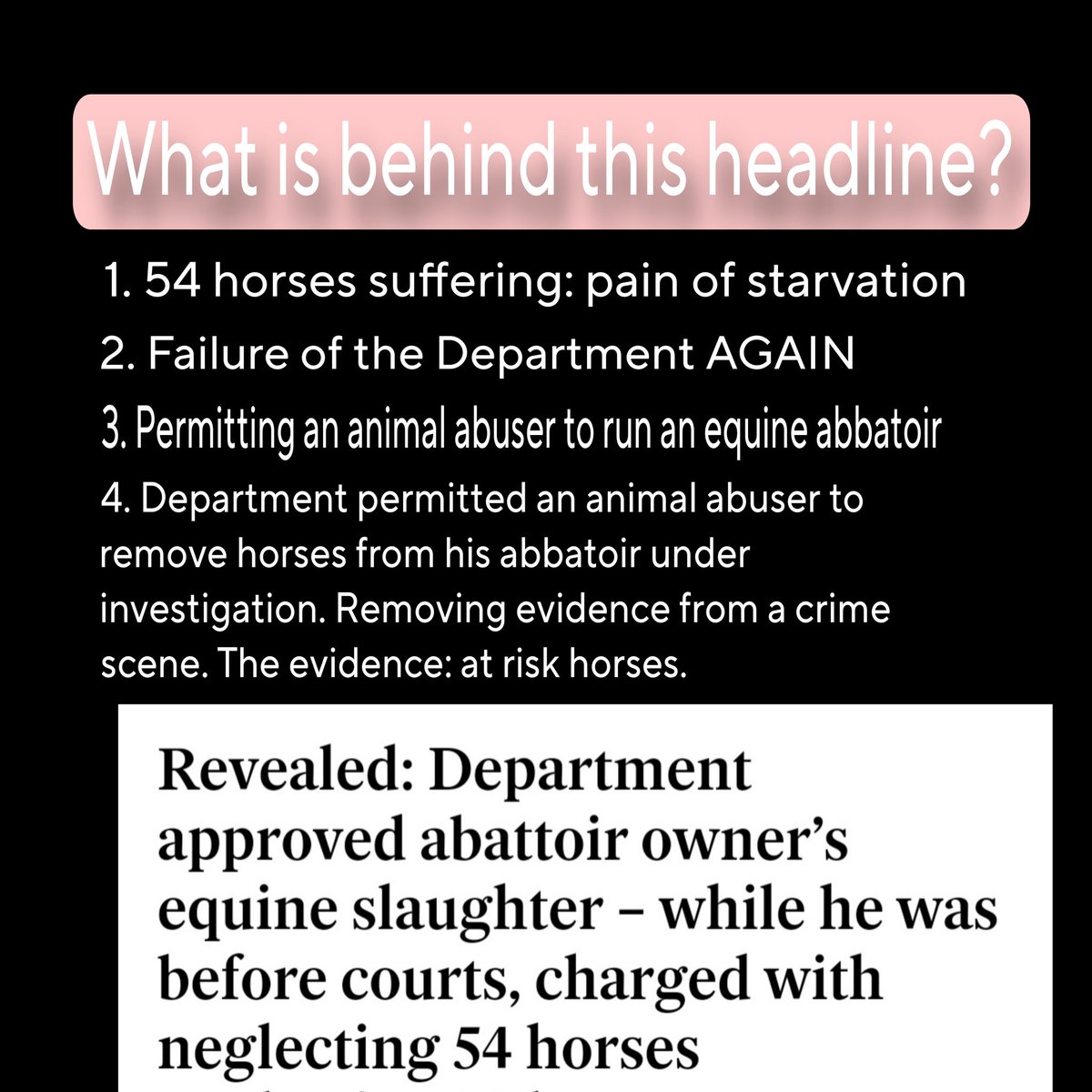 catlowry54's tweet image. Hopefully,most of you are lucky to never have seen a horse starve to death. They start to break down inside-out. They turn to muck, bark, small stones. They wait for someone to come, to help &amp;amp; in this case the #DAFM permitted a man who inflicts this suffering to run an abbatoir.