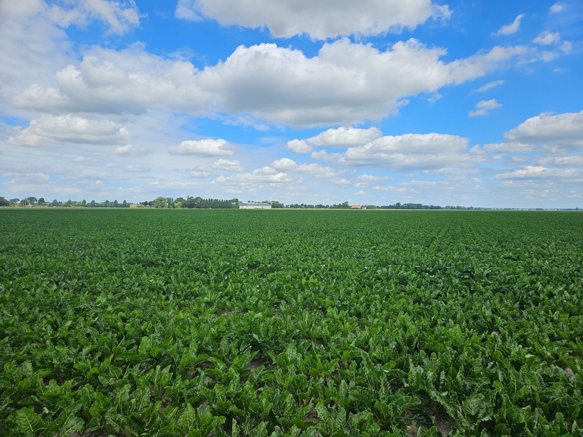 Marien Verhage tweet media