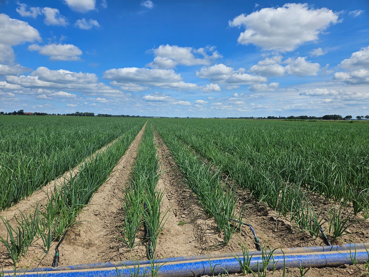 Marien Verhage tweet media