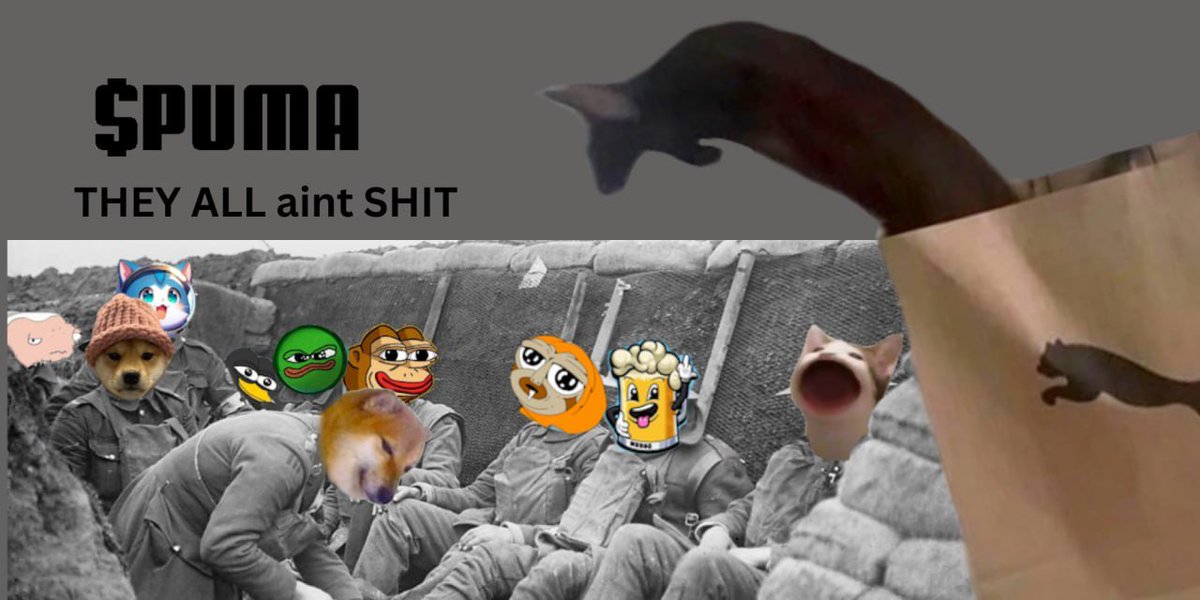PumaCatSol's tweet photo. Puma Over Every Meme
Forever, Faster https://t.co/rMtbvmcTzO