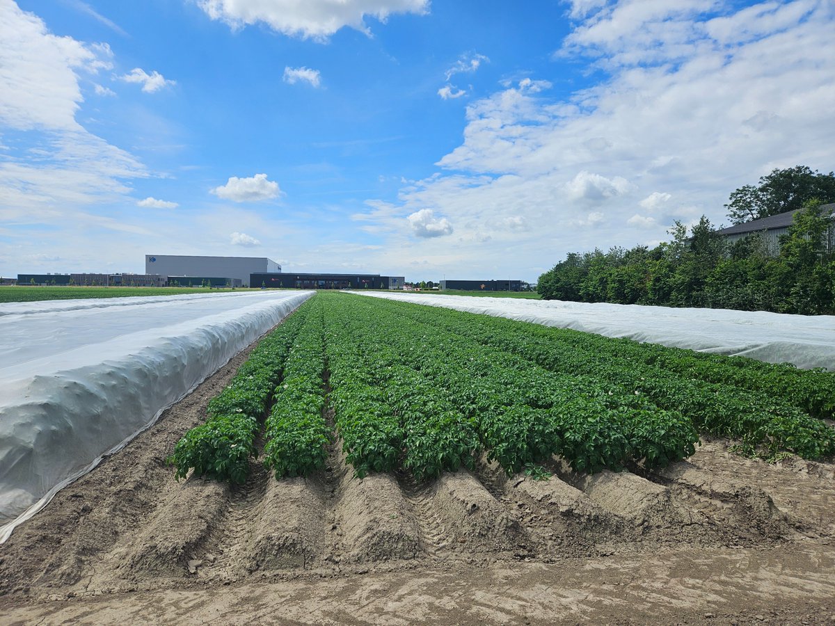 Marien Verhage tweet media