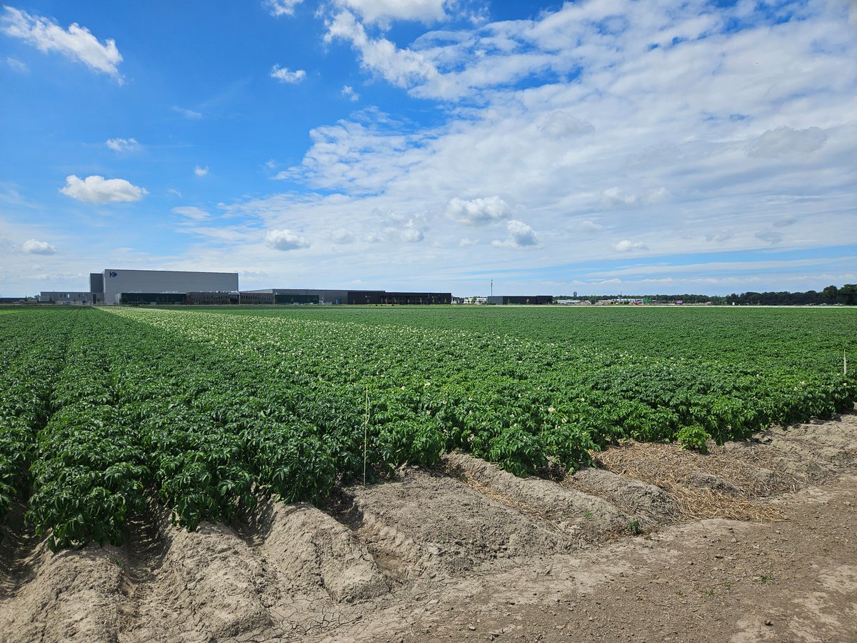 Marien Verhage tweet media