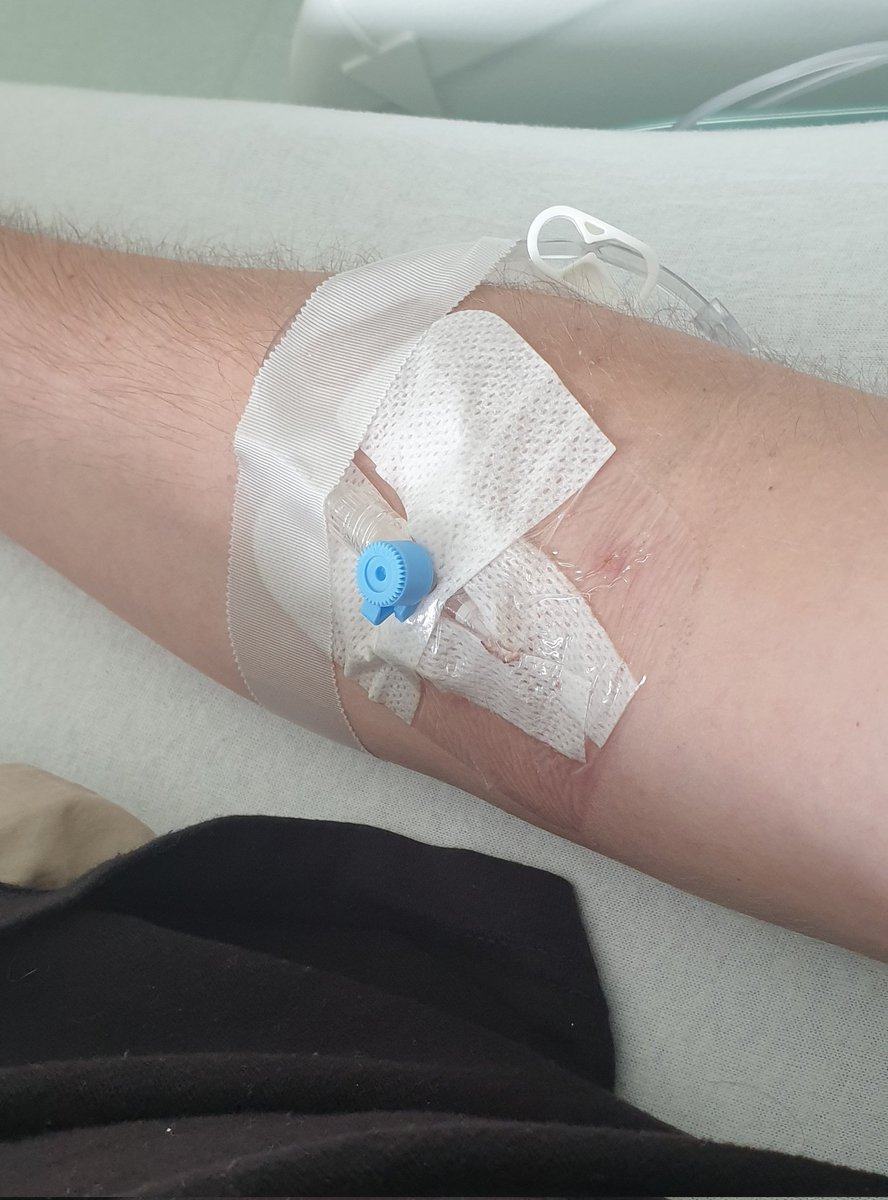 Harukami (COMMISSIONS OPEN) tweet media