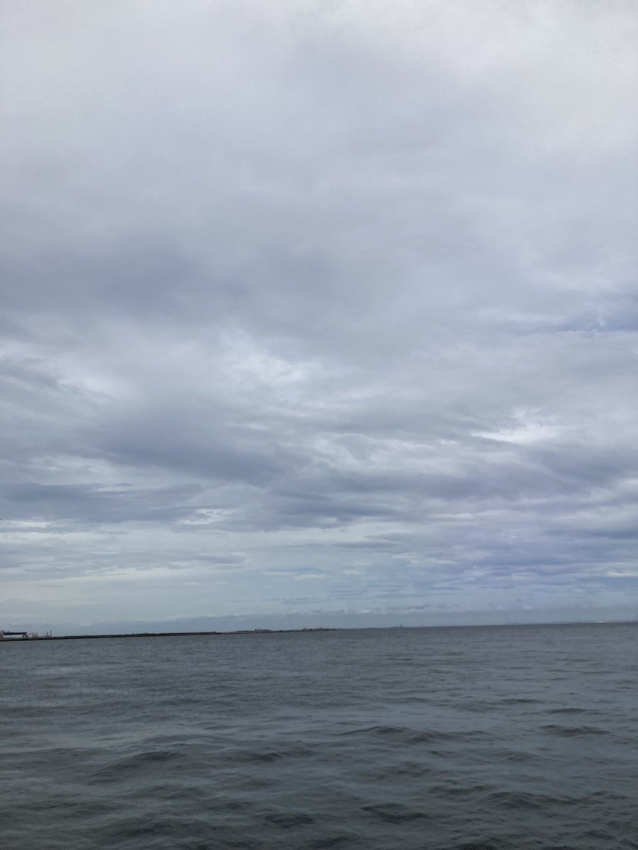 rmhfirstwater's tweet photo. 海に行った。
いつも人が少ない公園なのに、今日はフェスやっててどんちゃん騒ぎだったw https://t.co/WRQM9Fcw0i
