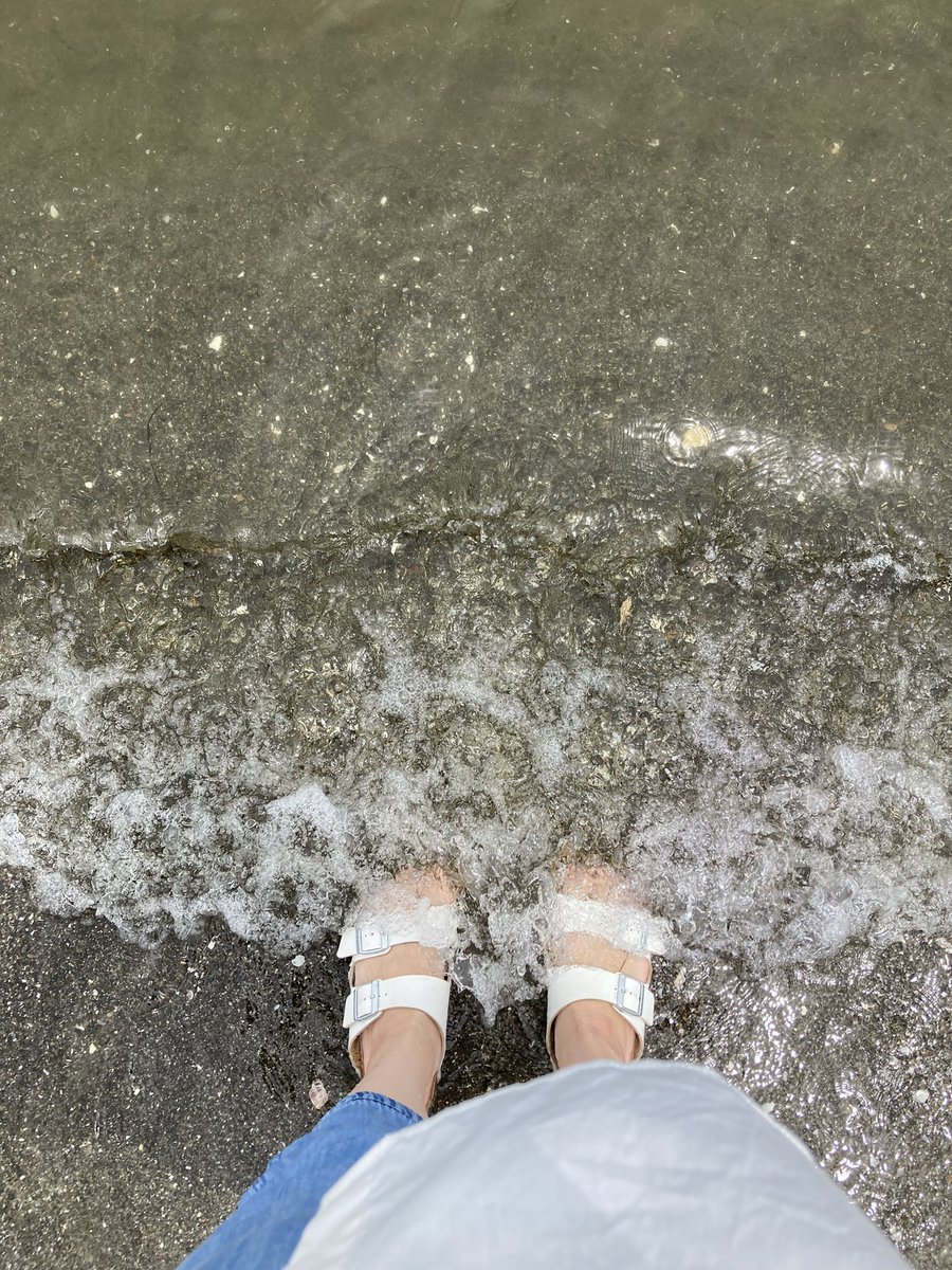 rmhfirstwater's tweet photo. 海に行った。
いつも人が少ない公園なのに、今日はフェスやっててどんちゃん騒ぎだったw https://t.co/WRQM9Fcw0i