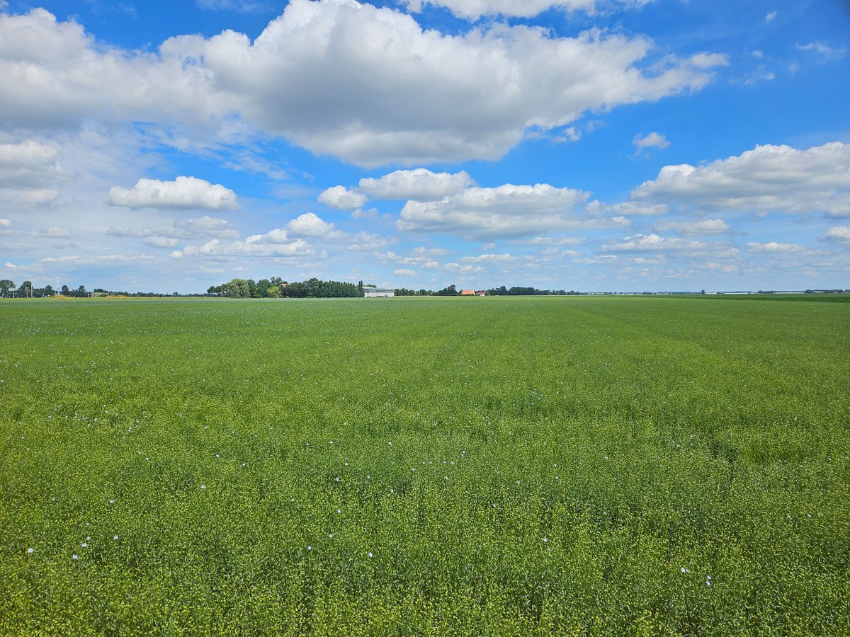 Marien Verhage tweet media