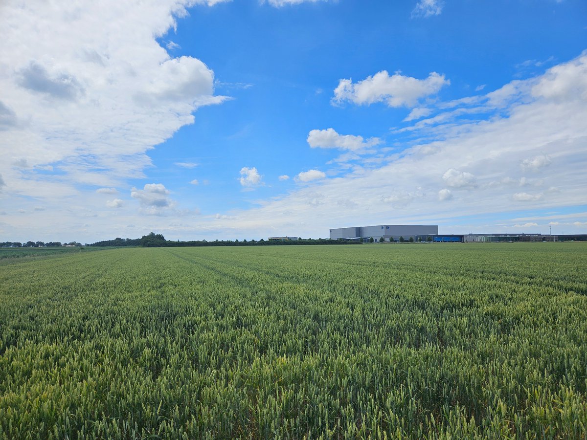 Marien Verhage tweet media