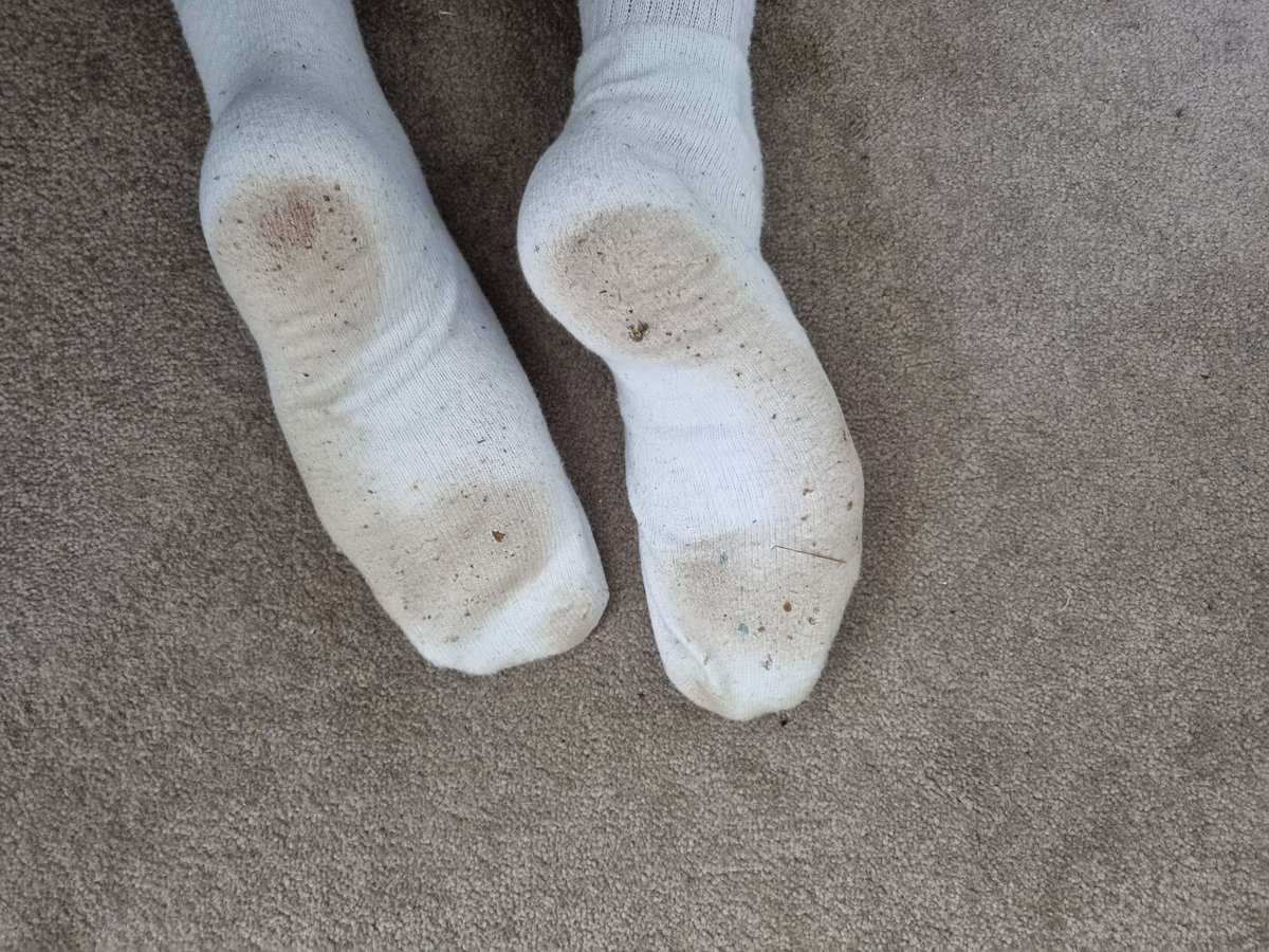 alpha_declan's tweet photo. Any smelly sock fans? https://t.co/TTqIAERJXV