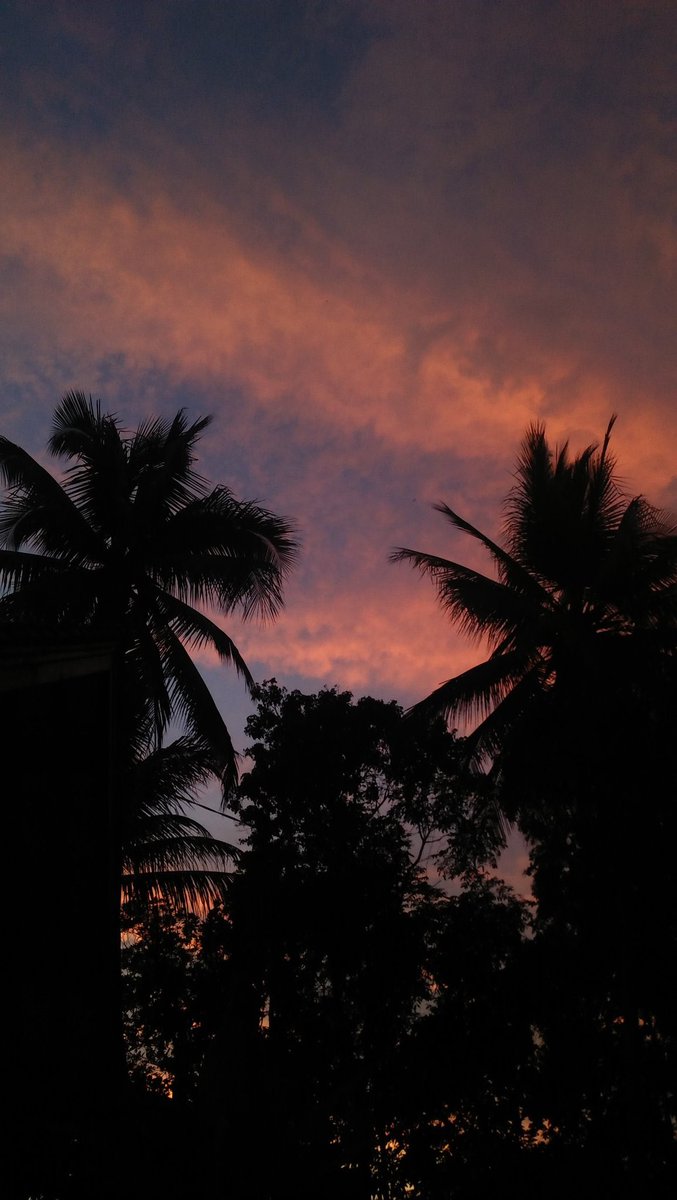 roniiaditya's tweet photo. tapi kenapa ya tuhan nyiptain malam untuk ngebunuh senja. tuhan jahat ya lis? walaupun begitu, senja gapernah ngeluh soal hal itu loh lis. karna dia tau waktunya ga banyak, makanya dia slalu tampil indah disaat-saat terakhirnya. dasar senja yang malang. https://t.co/sLfOTDI5nR