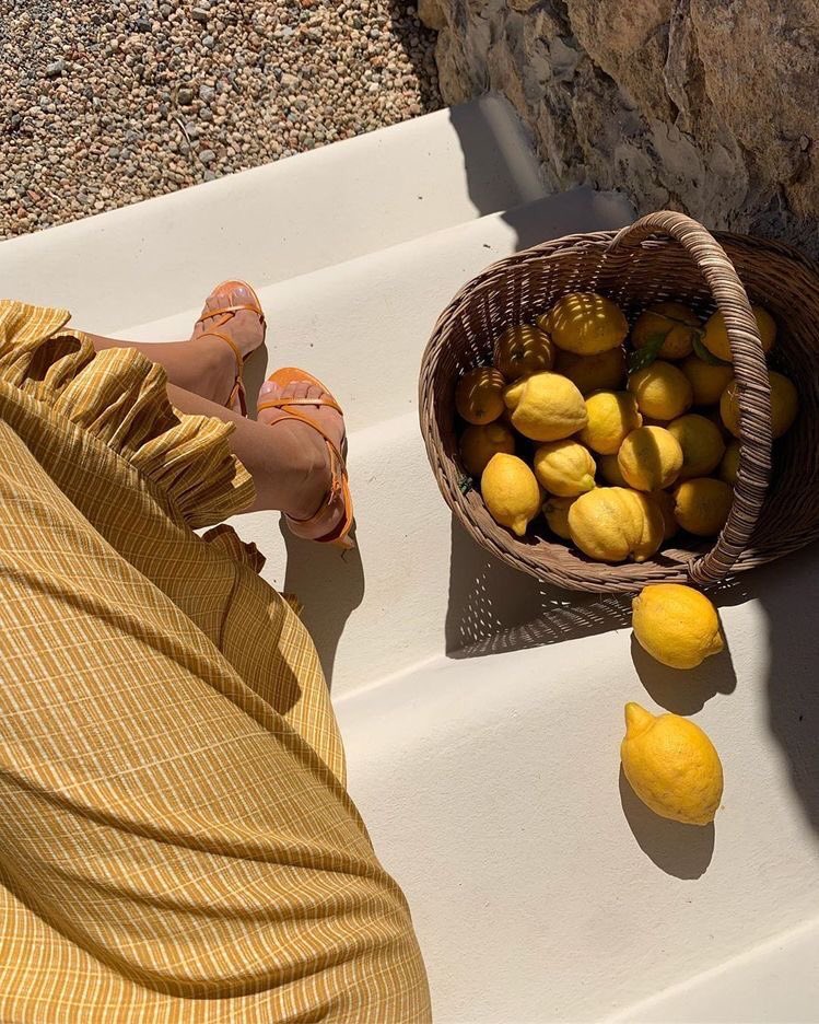 ً 🐚 tweet media