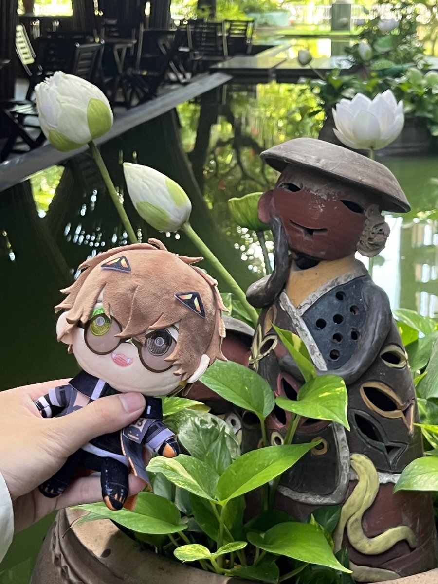 🐱🌱🧡
#summerban2024