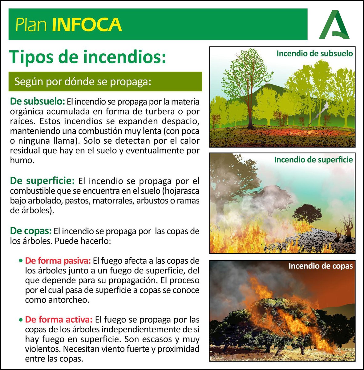 Plan_INFOCA's tweet photo. 👨🏻‍🎓 DIVULGACIÓN | Aprovechamos el día y seguimos repasando contigo conceptos teóricos sobre #IncendiosForestales.

Vamos a recordar qué tipos de incendios 🔥 podemos encontrar según su tamaño y en función de por dónde propaga 🧐👇🏻 https://t.co/steCr2rrF0