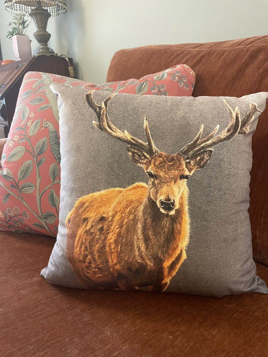 When your art becomes part of the furniture in my first competition ♥️ <a href="/Wraptious/">Wraptious</a> #wraptiouscompetition any votes really appreciated m.facebook.com/story.php?id=1…