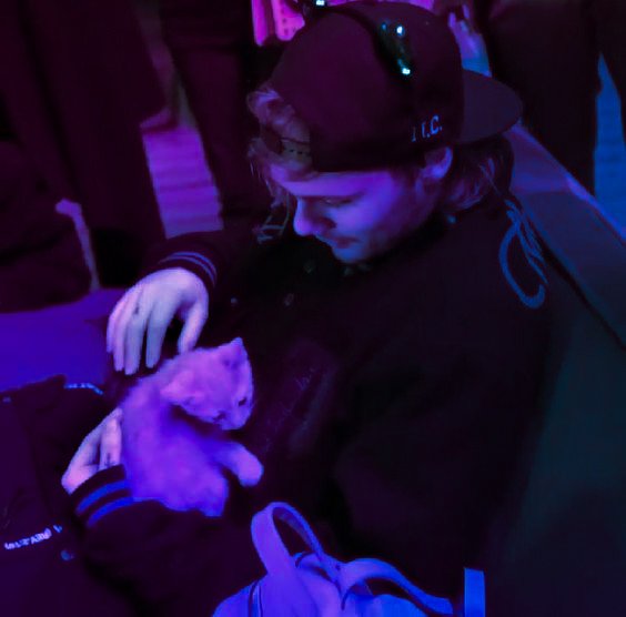 Alex 🍉 tweet media