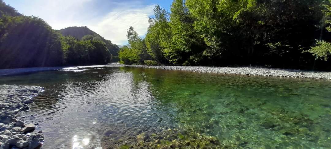parcoantola's tweet image. A Vobbietta, nelle calde giornate estive, il Lago Savio diventa rifugio sereno, tra fruscio dell'acqua, canto degli uccelli, zone d'ombra e tranquillità.

Attenzione, il bagno non si può fare! Accontentiamoci della bellezza del luogo e di bagnarci i piedi in tutta sicurezza!