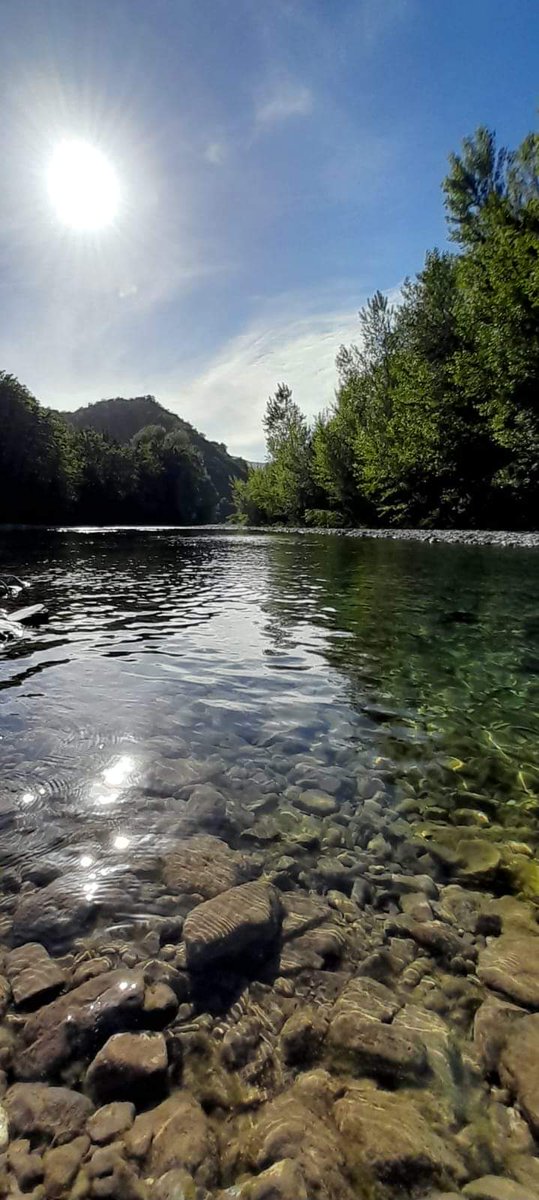 parcoantola's tweet image. A Vobbietta, nelle calde giornate estive, il Lago Savio diventa rifugio sereno, tra fruscio dell'acqua, canto degli uccelli, zone d'ombra e tranquillità.

Attenzione, il bagno non si può fare! Accontentiamoci della bellezza del luogo e di bagnarci i piedi in tutta sicurezza!