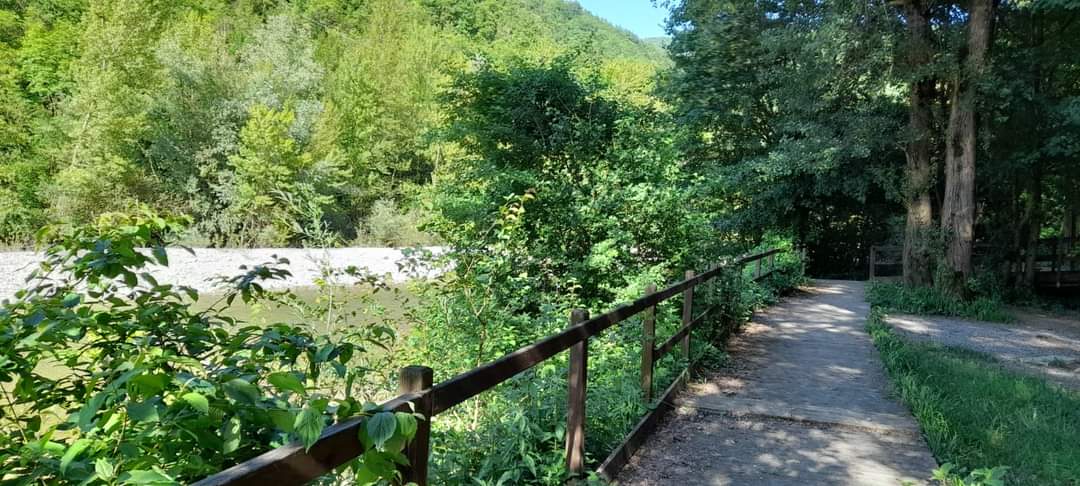 parcoantola's tweet image. A Vobbietta, nelle calde giornate estive, il Lago Savio diventa rifugio sereno, tra fruscio dell'acqua, canto degli uccelli, zone d'ombra e tranquillità.

Attenzione, il bagno non si può fare! Accontentiamoci della bellezza del luogo e di bagnarci i piedi in tutta sicurezza!