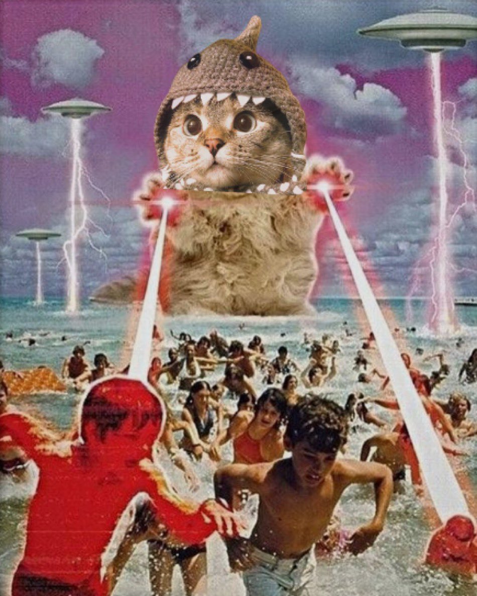 SharkCatSolana's tweet photo. @free_electron0 Come play https://t.co/UHLEUyexH3
