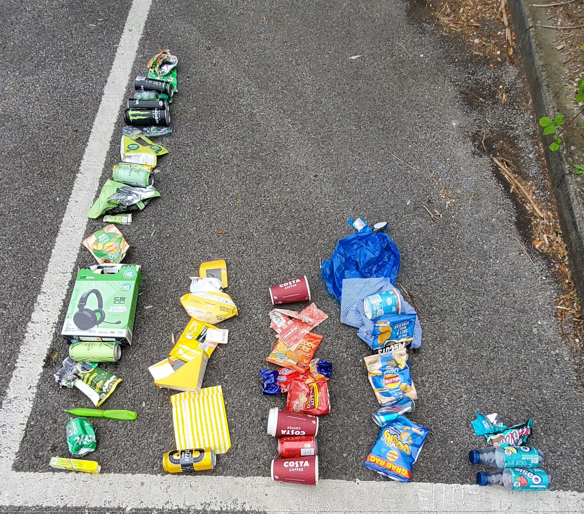 Litter Kickers tweet media