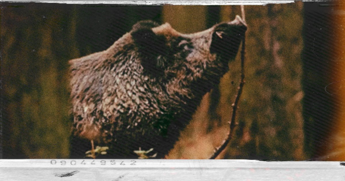 YUSEONG. tweet media