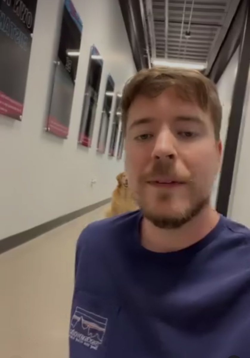 mr beast (@mrbeast6698) on Twitter photo 