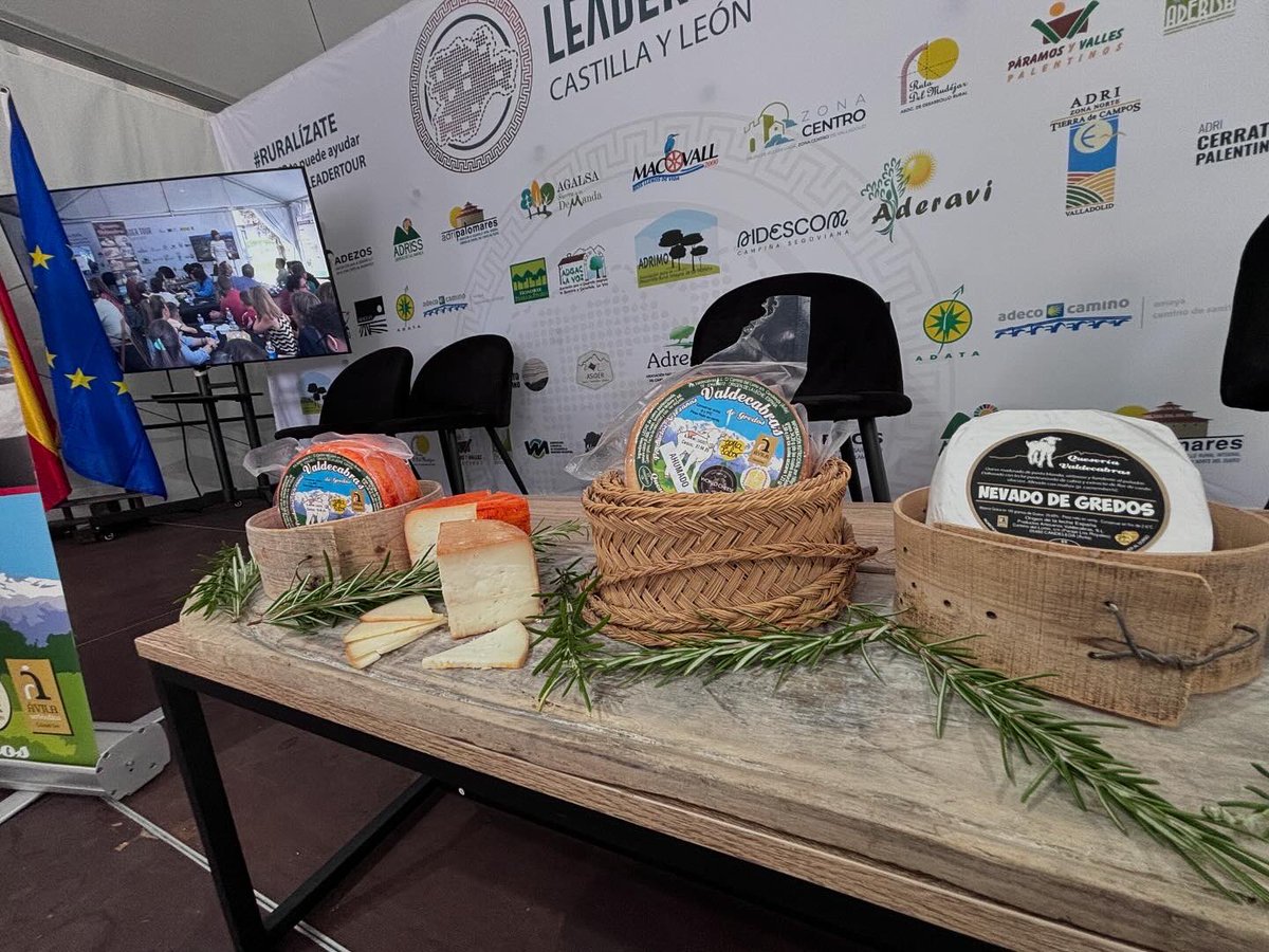 leadertour_'s tweet photo. ¿Quién puede resistirse a almorzar un buen queso?🧀 En la carpa #LEADERTour sabemos la respuesta 🙌🏻
Cata de quesos de #Valdecabras 😉
#Asider #Adrimo @Aderavi_info @valledeltietar
#territoriosconfuturo #LEADER #Leaderlohaceposible #proyectosdecooperación #ruralízate https://t.co/50cLGr6f6W