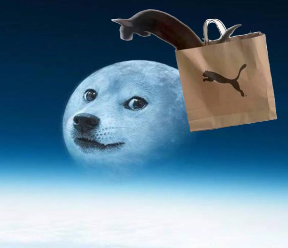 PumaCatSol's tweet photo. Fuck The Moon We're Going Over It!!! LFG
Forever, Faster https://t.co/iEy0fRhYVk
