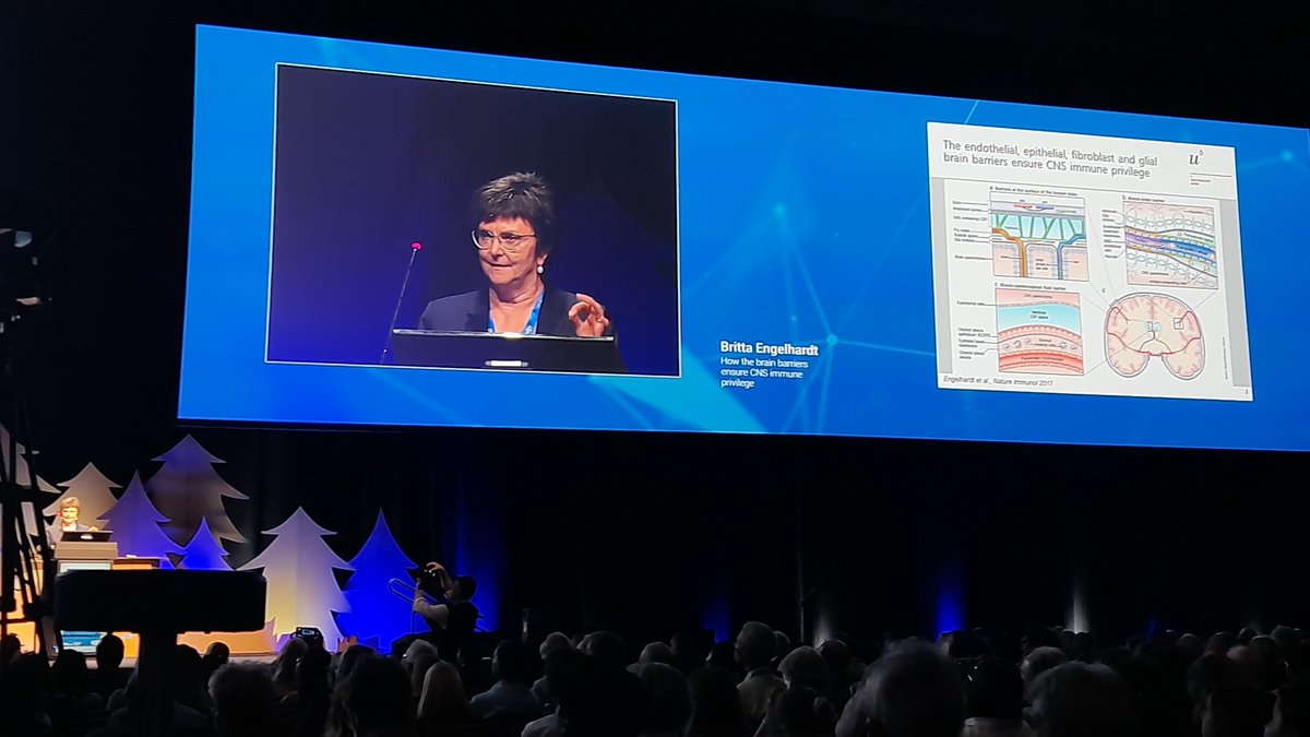 VJNeurology's tweet photo. Professor Britta Engelhardt (@Britta_in_Bern) delivered an enlightening talk at #ean2024 on our growing of understanding of brain barrier architecture and how the different brain barriers establish zones to ensure CNS immune privilege.

@EANeurology #brainbarriers #CNSimmuneprivilege #EANeurology #neurology #10yearsEAN #VJNeurology #VJDementia