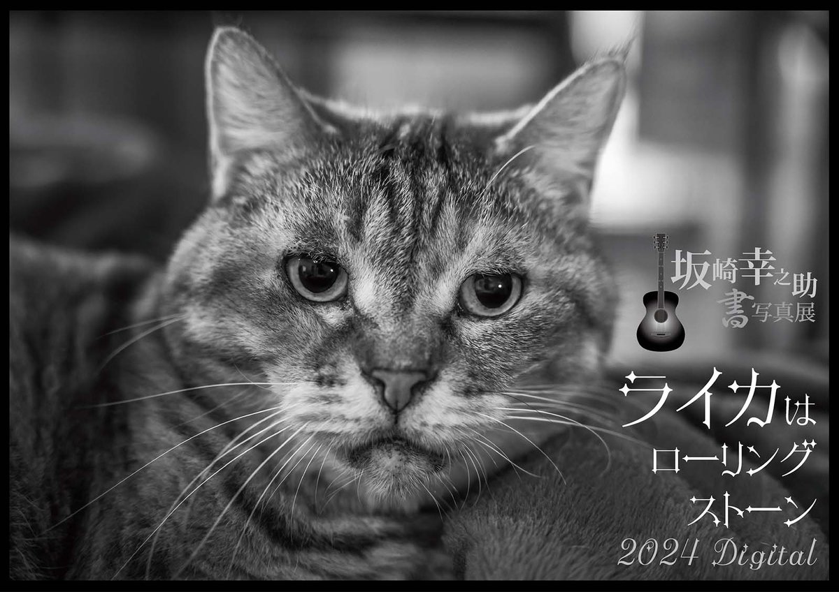 THE 恋しい ALFEE 坂崎幸之助 書写 THE 恋しい ALFEE 坂崎幸之助 書写