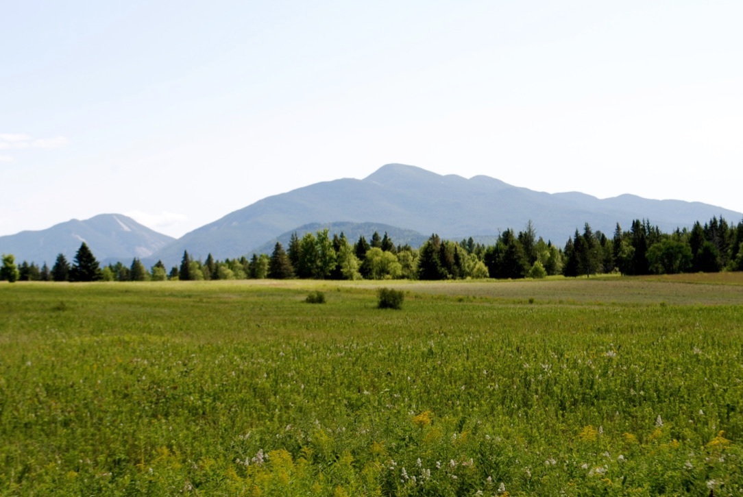 EmilyRussellADK's tweet image. The Adirondack Land Trust just received a $3 million grant to develop 3.5 miles of wheelchair-accessible trails on two properties: along the Loj Rd. in Lake Placid and at the Glenview Preserve just north of Saranac Lake.
northcountrypublicradio.org/news/story/500…