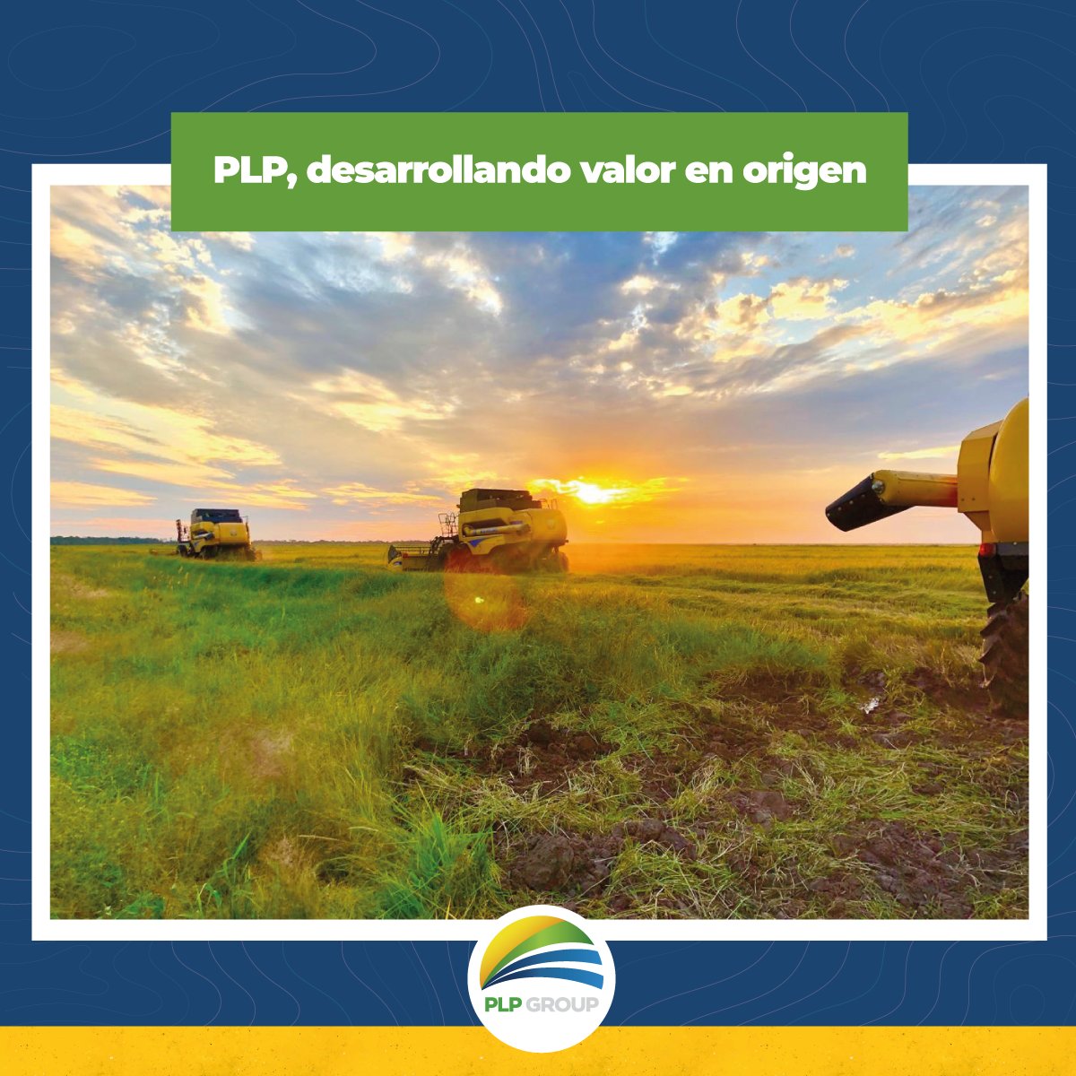 En PLP Group iniciamos un proceso de transformación de nuestros productos a orgánicos, reemplazando insumos clave con OGM – Organismos Genéticamente Modificados- por nuevos insumos de manera de lograr que nuestros productos puedan certificar como orgánicos.