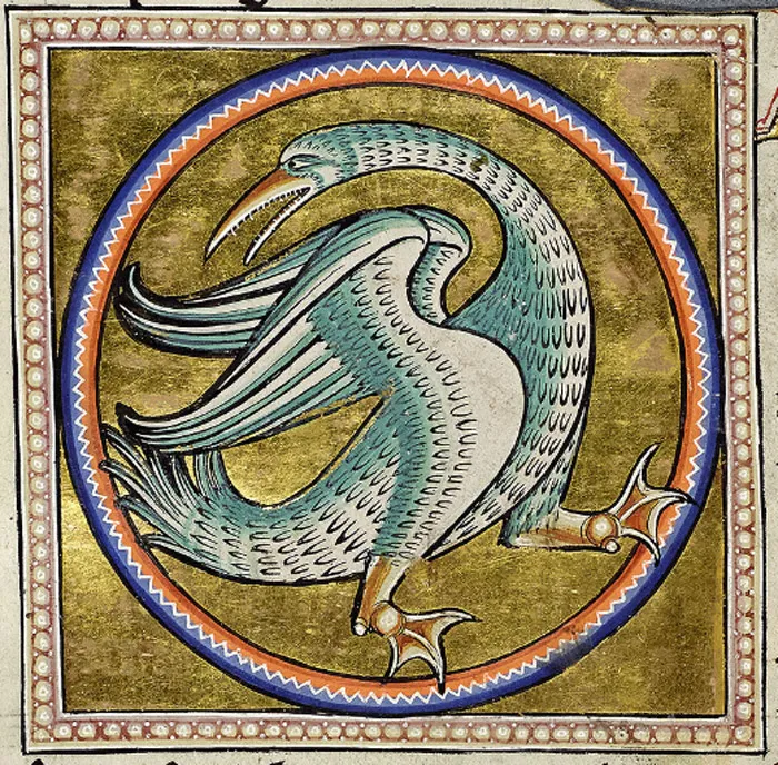 Halcyone Origin of the phrase