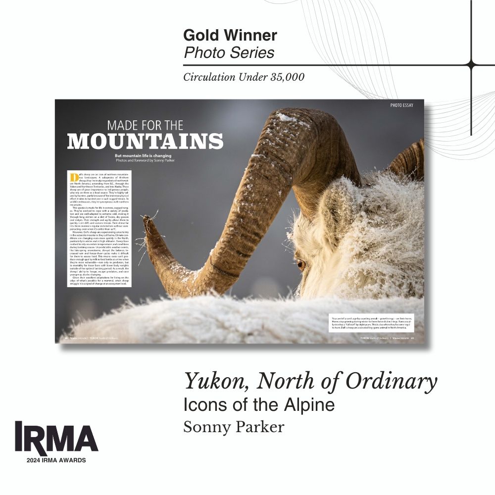 Congratulations to Sonny Parker for the Photo Series (circulation under 35,000) Gold medal for “Icons of the Alpine,” in Yukon, North of Ordinary. <a href="/northofordinary/">North of Ordinary</a> 
#IRMAawards2024 #regionalmagazines #magazines