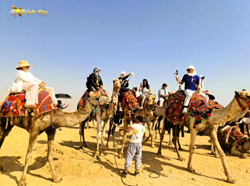 Bright Star Tours tweet media