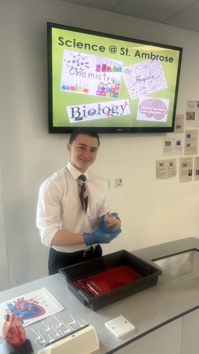AmbroseScience's tweet photo. A busy morning in the science department #openmorning2024 🔬🧪🧬🧲 An amazing effort from our boys confidently talking to prospective students and parents 👏👏👏 Our A Level Science Ambassador Rory wowed the crowds with a skillful and informative sheep heart dissection 🐑❤️ https://t.co/RdAIjOtrxR