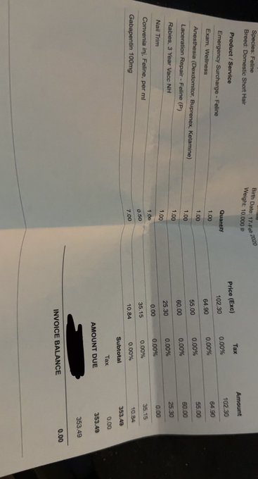 Here&rsquo;s a pumpkin update! She&rsquo;s healing and should be healed in 2-3 weeks ❤️  Still a chance to reimburse